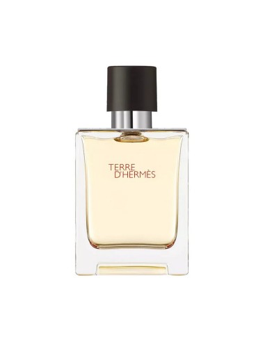 TERRE D'HERMES EDT VAP 100 ML