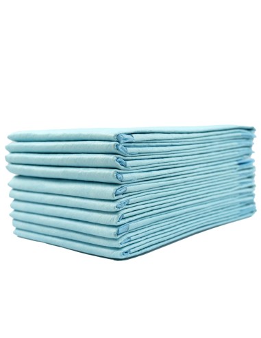 SALVACAMAS PAMEX 60X60 EMPAPADORES PROTECTOR 10 UDS