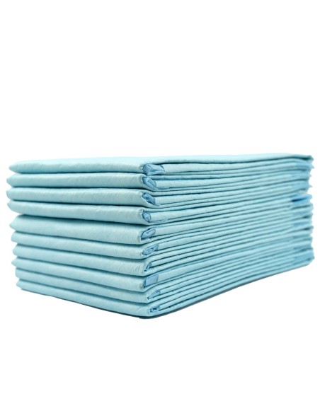 SALVACAMAS PAMEX 60X60 EMPAPADORES PROTECTOR 10 UDS