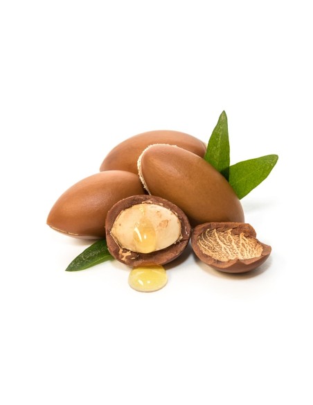 NATURAL HONEY JABON DE MANOS PASTILLA 2X100GR ARGAN