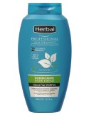 HERBAL CHAMPU 500ML TRATAMIENTO CABELLO GRASO PURIFICANTE PROFESSIONAL
