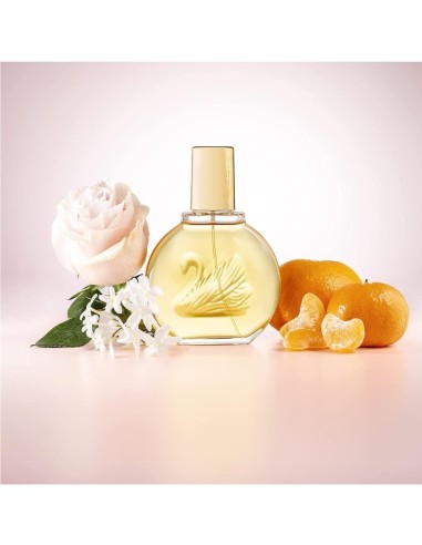 Perfume femenino Vanderbilt 100?ml, elegancia y suavidad atemporal.