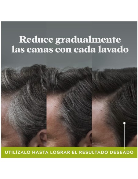 Just For Men Control GX Champú | Reduce Canas Gradualmente | Drolim Just For Men Control GX Champú | Reduce Canas Gradualmente | Drolim