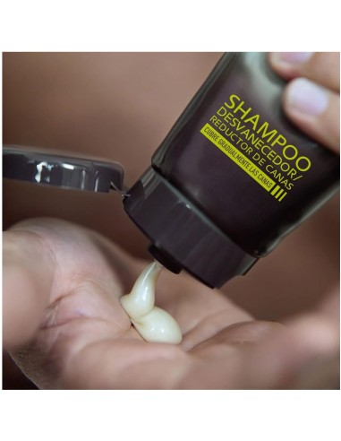 Just For Men Control GX Champú | Reduce Canas Gradualmente | Drolim