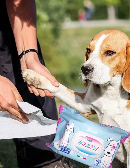 Toallitas Húmedas Charly para Mascotas, 40 Unidades de 20x30 cm