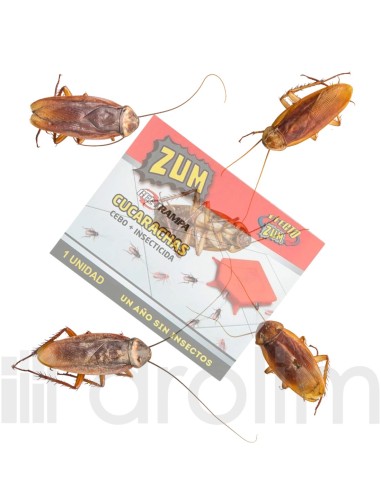 Zum Trampa para Cucarachas 1 Unidad