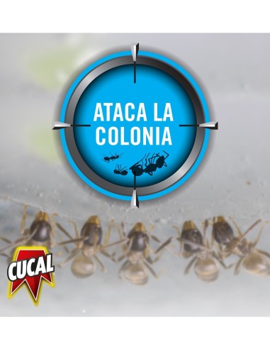 Cebo Cucal Anti Hormigas 2 uds  control duradero de colonias de hormigas