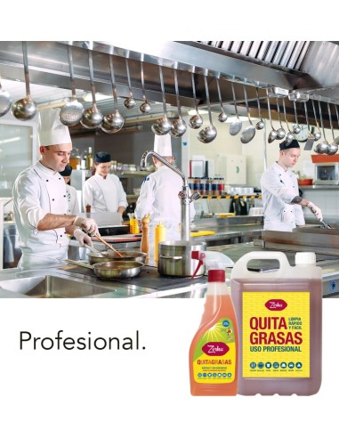 Recambio Zorka 750 ml, elimina grasa en cocinas, hornos y superficies