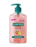 SANYTOL JABON LIQUIDO COCINA 250 ML ELIMINA OLORES