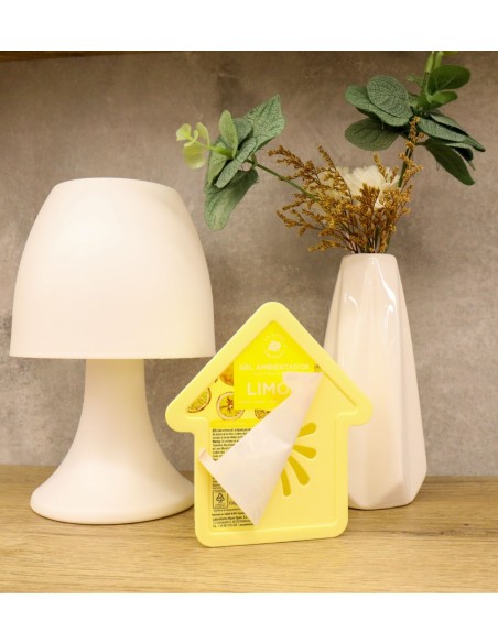 Casita ambientador gel 100?g: práctico, decorativo y con perfume intenso de larga duración