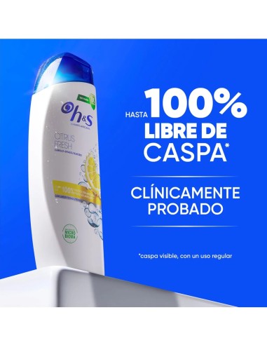 HS: champú para cabello graso y caspa, 625ml.