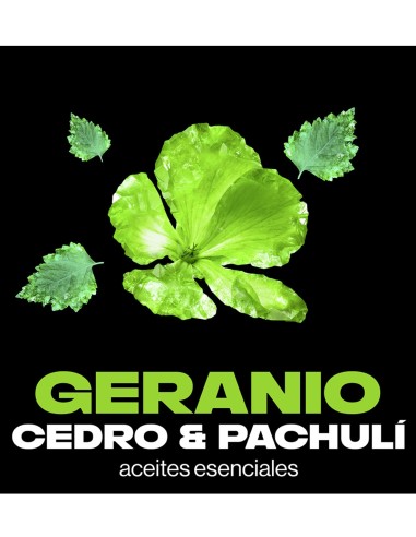 Axe: spray desodorante con aroma a geranio y cedro.