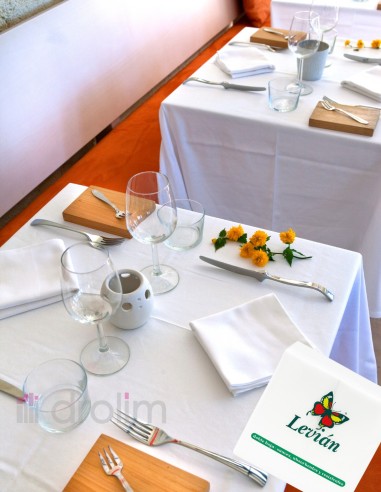 Servilletas de papel Levian para hostelería y hogar.