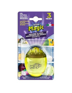 Huevo Absorbeolores Frigorífico Mister Magic.