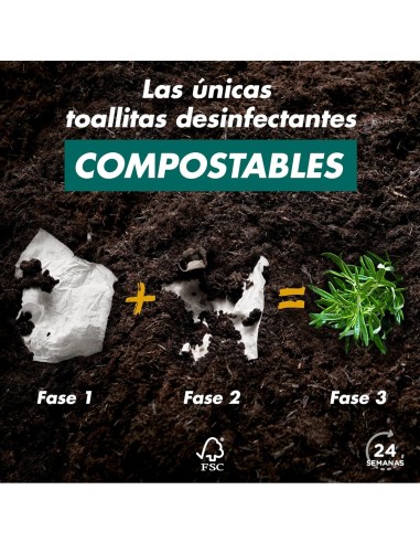 Sanytol Toallitas Desinfectantes 24 uds | Higiene sin lejía