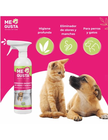 Elimina olores y manchas de orina