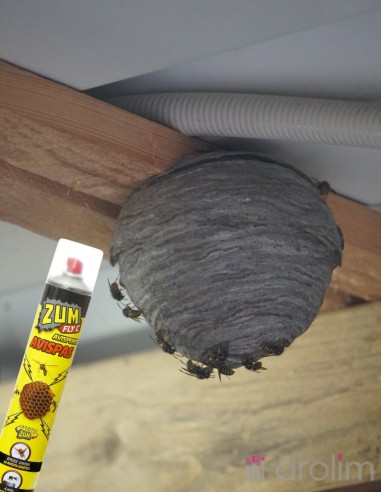 Imagen de spray insecticida y avispero