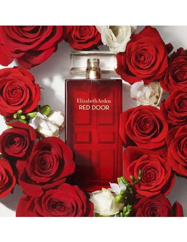 RED DOOR ELIZABETH ARDEN EDT VAP 100 ML