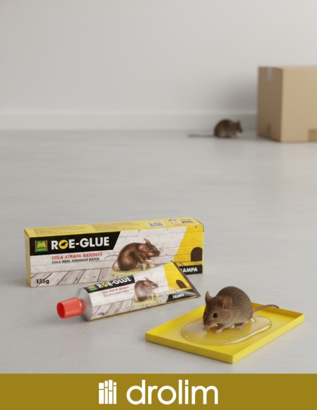 Aplicación de pegamento raticida Roe-Glue en trampa.