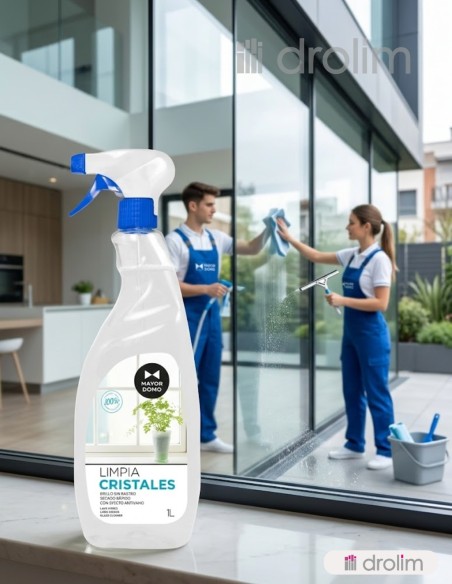 Mayordomo Limpia Cristales Profesional Pistola 1L