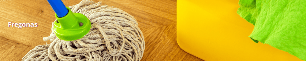 Fregonas