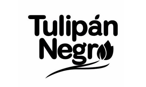 Tulipan Negro